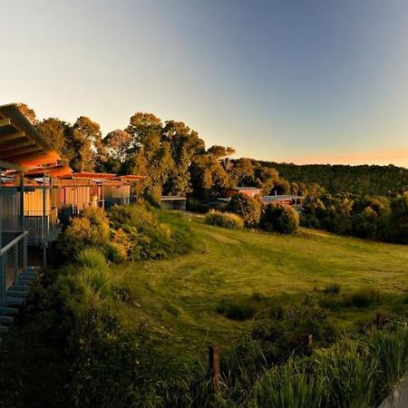 O'Reilly'S Rainforest Retreat Canungra Exterior foto