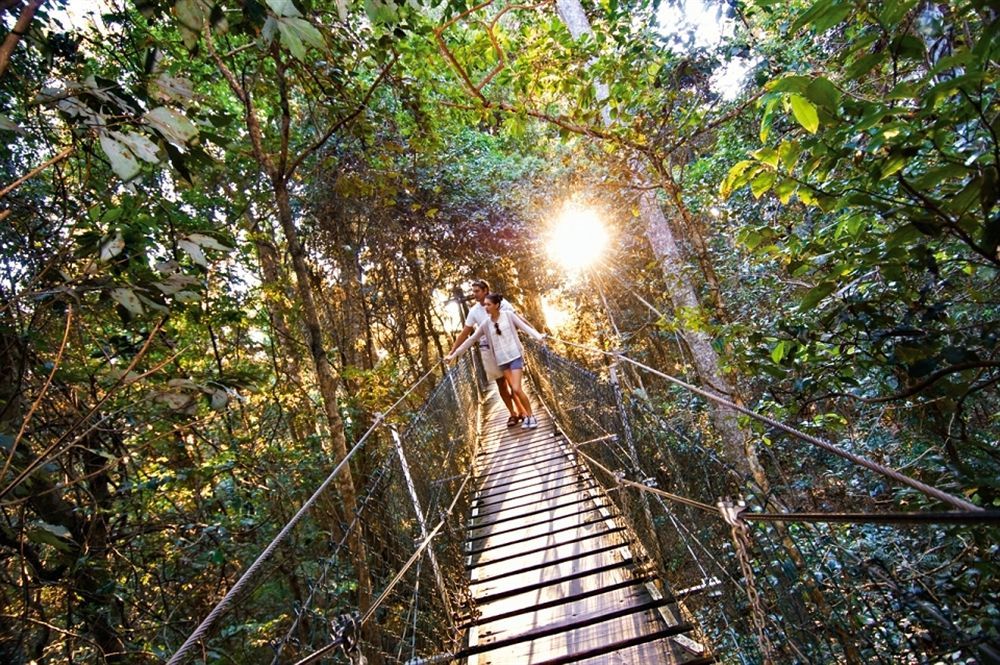 O'Reilly'S Rainforest Retreat Canungra Exterior foto