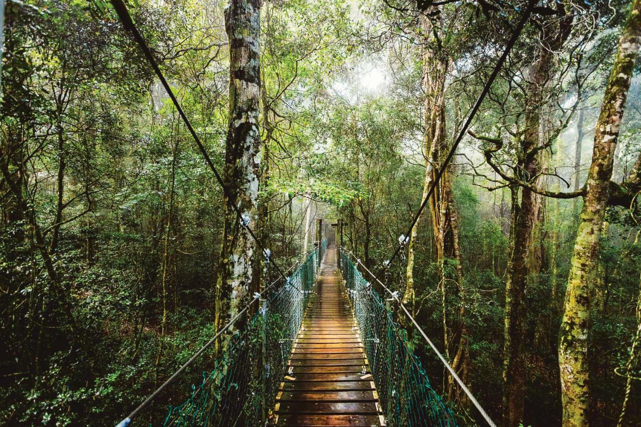 O'Reilly'S Rainforest Retreat Canungra Exterior foto